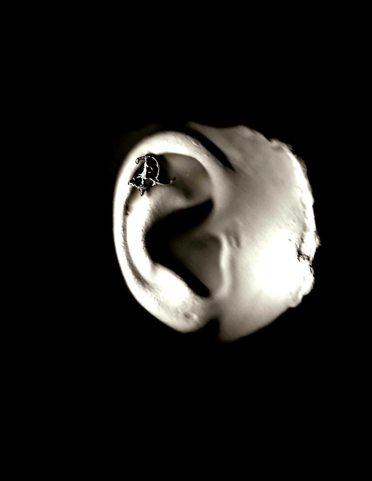 GNOSIS STUD EARRING